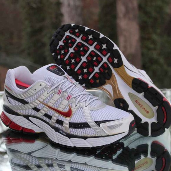 Nike Air Pegasus 2007+ Bowerman - Picture 5 of 14